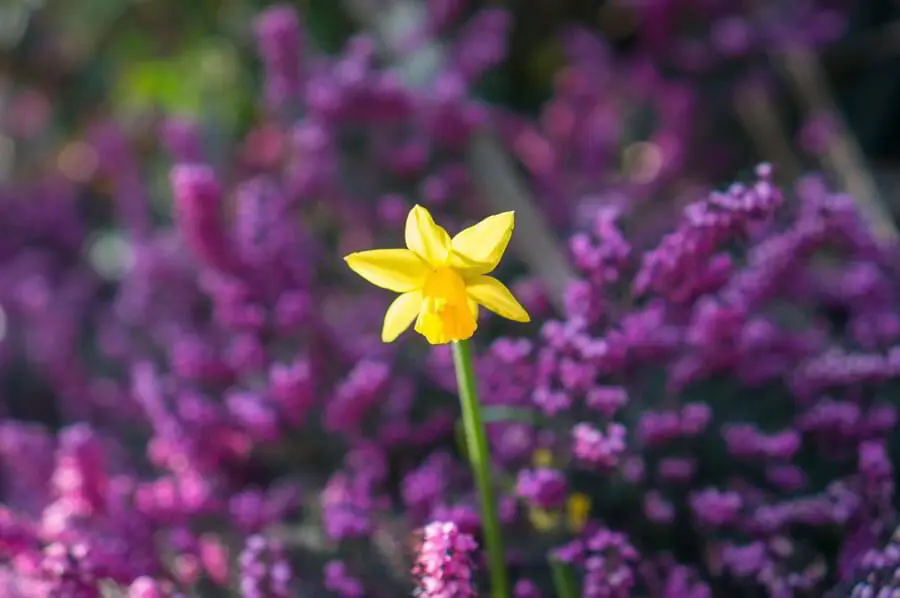 color psychology tips for website