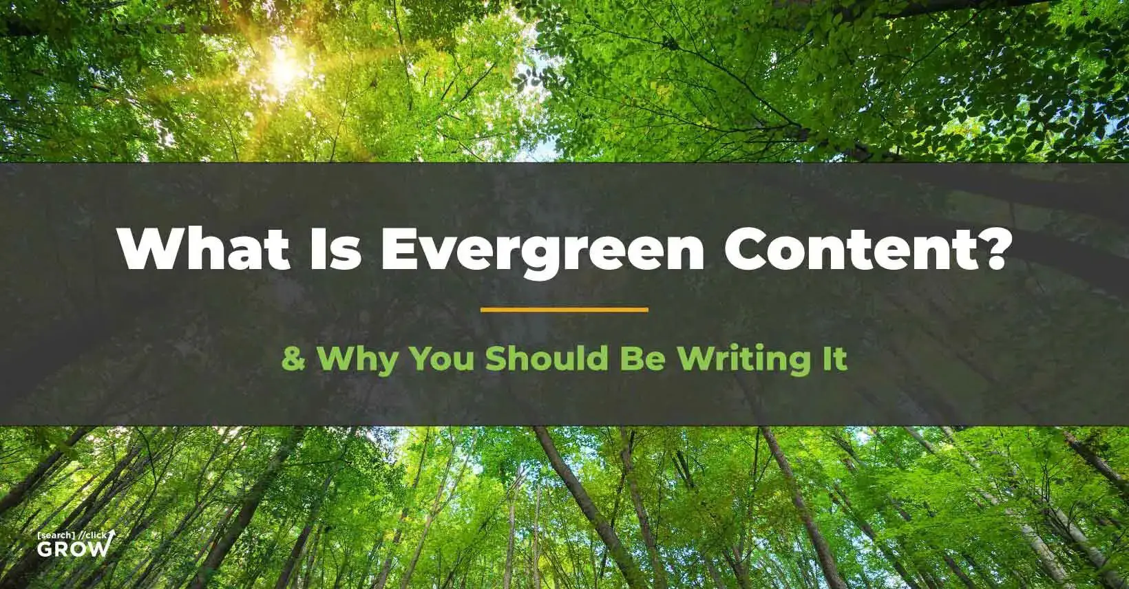 what is evergreen content