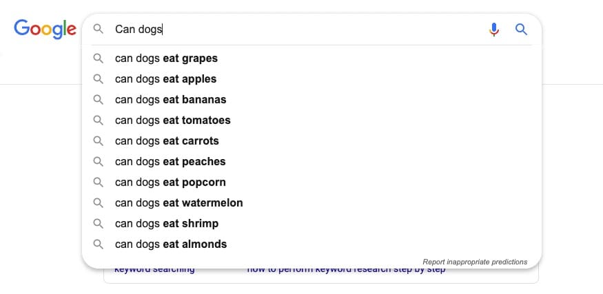 Google’s Related Searches